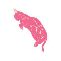 Mystical cats in boho style, silhouette collection. Esotericism and mysticism, occultism. Cartoon flat vector illustrations, isolated