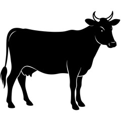 silhouette of a cow