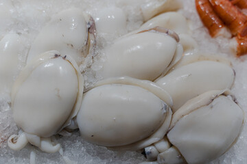Seafood. Fresh squid lies on ice. Close-up.