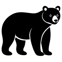 bear illustration