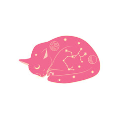 Mystical cats in boho style, silhouette collection. Esotericism and mysticism, occultism. Cartoon flat vector illustrations, isolated