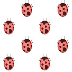 Ladybird on white background seamless pattern 