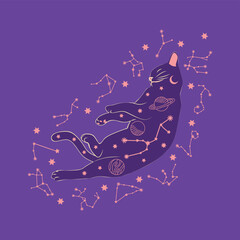 Mystical cat in boho style surrounded by stars, zodiac signs, balls, paw prints, silhouette collection. Esotericism and mysticism, occultism. Cartoon flat vector illustration. © MichiruKayo