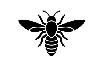 bee and flower