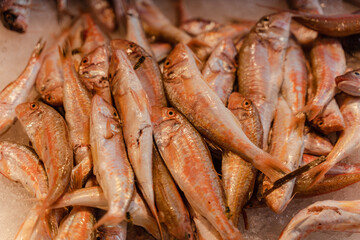 Seafood. Fish on ice lie one on top of the other.