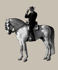 The Spanish rider on a white horse