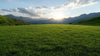 Fototapeta premium Sunset over grassy field and mountain range