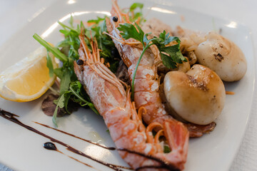 Seafood. Cooked shrimps on a plate. Close-up.