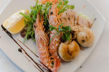 Seafood. Cooked shrimps on a plate. Close-up.