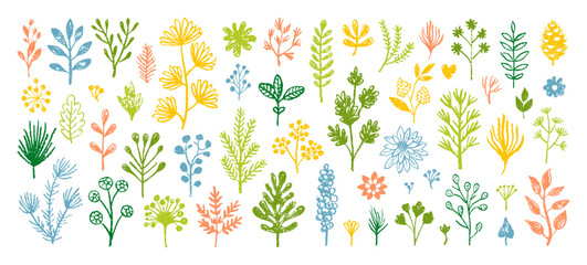 Flower kid crayon pencil vector. Childish spring Easter floral background. Color crayon or chalk child hand drawn bg. Plant grass, spring flower. Pastel kid illustration. Cute floral simple doodle set