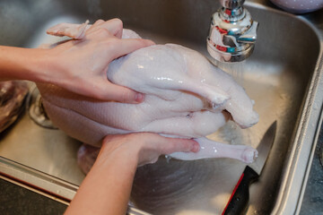 A woman washes chicken meat in a sink. General shot. © liukovmaksym