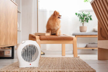 Electric fan heater on rug against Pomeranian dog at home, closeup