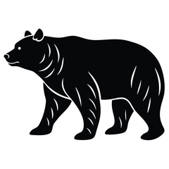 Illustration of a bear on white background