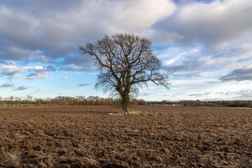 Ploughed Sussex farmland on a sunny January day