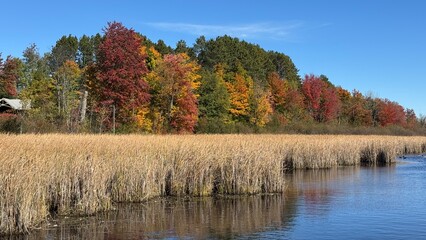 autumn landscape in the mountains