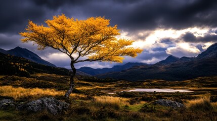 Fototapeta premium Solitary golden tree against dramatic mountain landscape at sunset