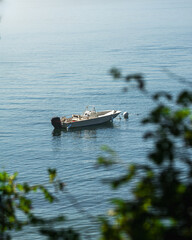 Serene View of a Motorboat Floating on Tranquil Water Surrounded by Nature