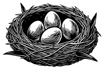 Nest with eggs isolated on a white background
