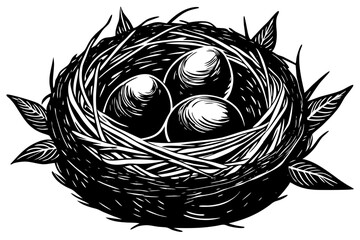 Obraz premium Nest with eggs isolated on a white background