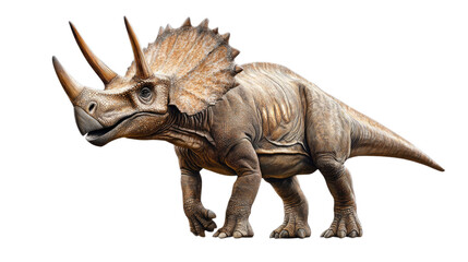 Fototapeta premium Majestic Triceratops: A detailed depiction of a Triceratops dinosaur, showcasing its three horns, large frill, and powerful build. The creature is presented against a clean background.