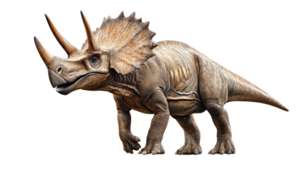 Majestic Triceratops: A detailed depiction of a Triceratops dinosaur, showcasing its three horns, large frill, and powerful build.  The creature is presented against a clean background.