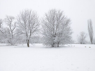 Winter Landscape of South Park in city of Sofia, Bulgaria