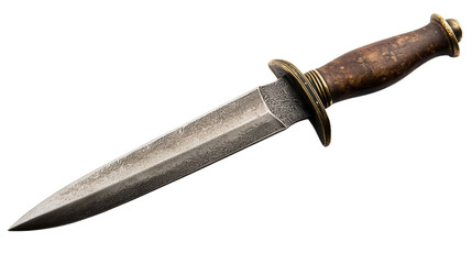 Antique Dagger: A timeless and intricate antique dagger with a gleaming blade and a weathered wooden handle. Its craftsmanship showcases the meticulous artistry of a bygone era.