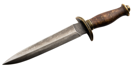 Antique Dagger: A timeless and intricate antique dagger with a gleaming blade and a weathered wooden handle. Its craftsmanship showcases the meticulous artistry of a bygone era.