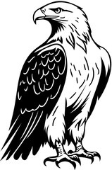 Black and white eagle illustration