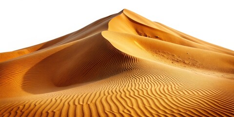 Fototapeta premium Sand Dune Landscape