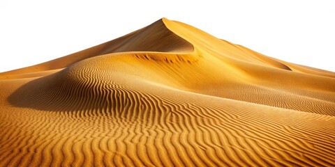 Sand Dune Landscape