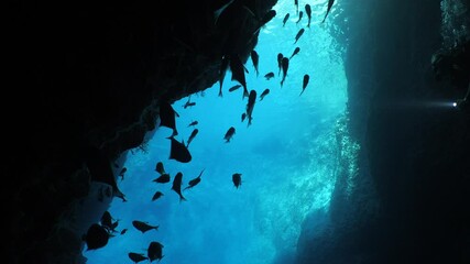 underwater cave dive scuba divers to explore