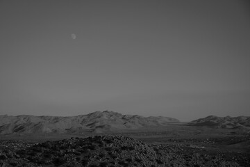 desert moon landscape