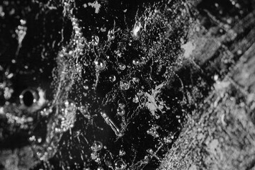 Macro shot of thin layer frozen ice block as background