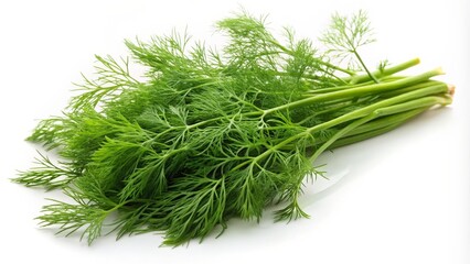 Fresh Dill Bunch
