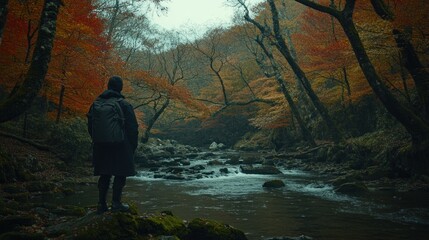 Person admires autumn forest stream.