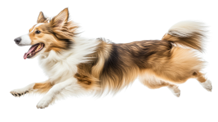 Happy dog running jumping on transparent background