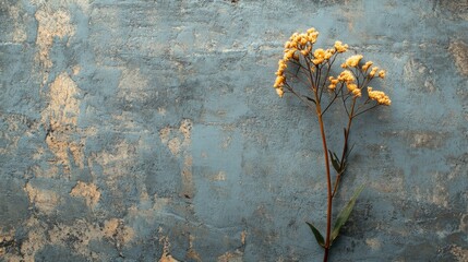 Dried Yellow Flowers on a Textured Blue Background
