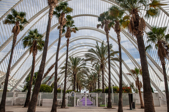 VALENCIA, SPAIN - OCTOBER 13, 2024: L&rsquo;Umbracle, an open-air structure in Valencia's City of Arts and Sciences, with arched ribs and Mediterranean plants.