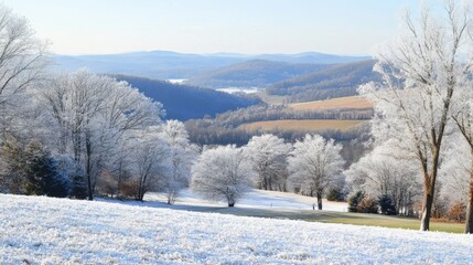 Fototapeta premium Serene Winter Landscape with Frost-Covered Trees and Rolling Hills