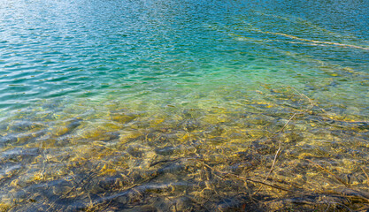 Beautiful peaceful landscape with forest lake. The tranquil transparent waters of lake in the background. Beautiful nature lake. Landscape Reflection off of a clear lake water surface.