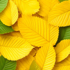 Autumn leaves background texture (2)