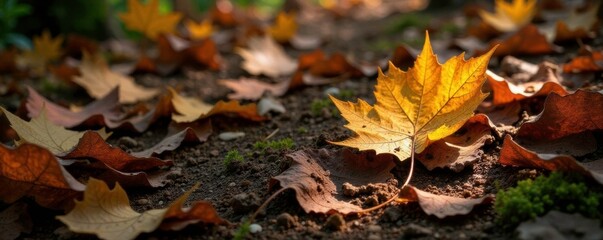 Iron-rich plant leaves scattered on a forest floor, nature, organic, iron