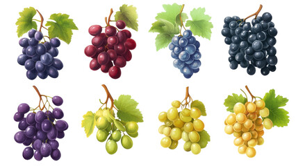 Bunch of grapes watercolor on transparent background