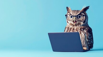 A owl with glasses and a surprised look on her face is looking at a laptop on solid blue background. ai generative. isolated on a solid blue background. © florynstudio3