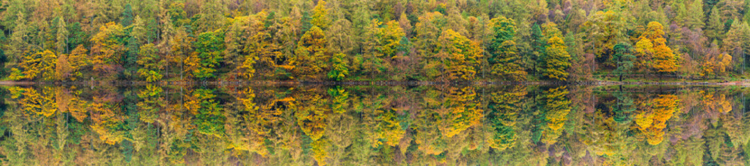 Ultrawide panorama of colorful autumn trees with reflection
