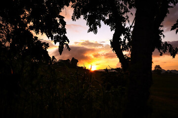 Puesta de sol en campo con arboles alrededor 
