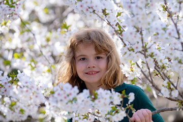 Fototapeta premium Close up face of cute child near blossom tree outdoors. Spring banner for website header. Portrait of beautiful child in the spring blossoming garden. Happy kid with spring flowers.