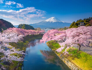 Generated image　富士山と桜