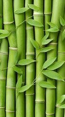 Obraz premium Lush green bamboo stalks, leaves, nature background, zen